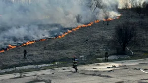 Primăria Capitalei, după incendiul din Parcul Natural Văcăreşti: Înţelegem şi regretăm profund