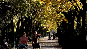 Aleile din Cişmigiu iau nume de cărţi, într-o campanie a editurii Litera