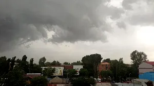 COD GALBEN DE FURTUNĂ în Bucureşti şi mai multe judeţe