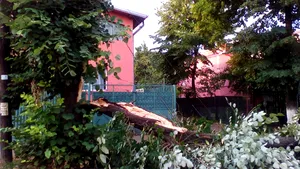 33 de copaci căzuţi şi peste 13 maşini avariate, în urma furtunii din Bucureşti şi Ilfov / Avertizarea care vizează aproape toată ţara, valabilă până miercuri | FOTO / VIDEO