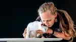 Pisicile domină coșurile Pet Shop pe Sezamo: 80% dintre clienții care cumpără din categorie aleg produse pentru feline