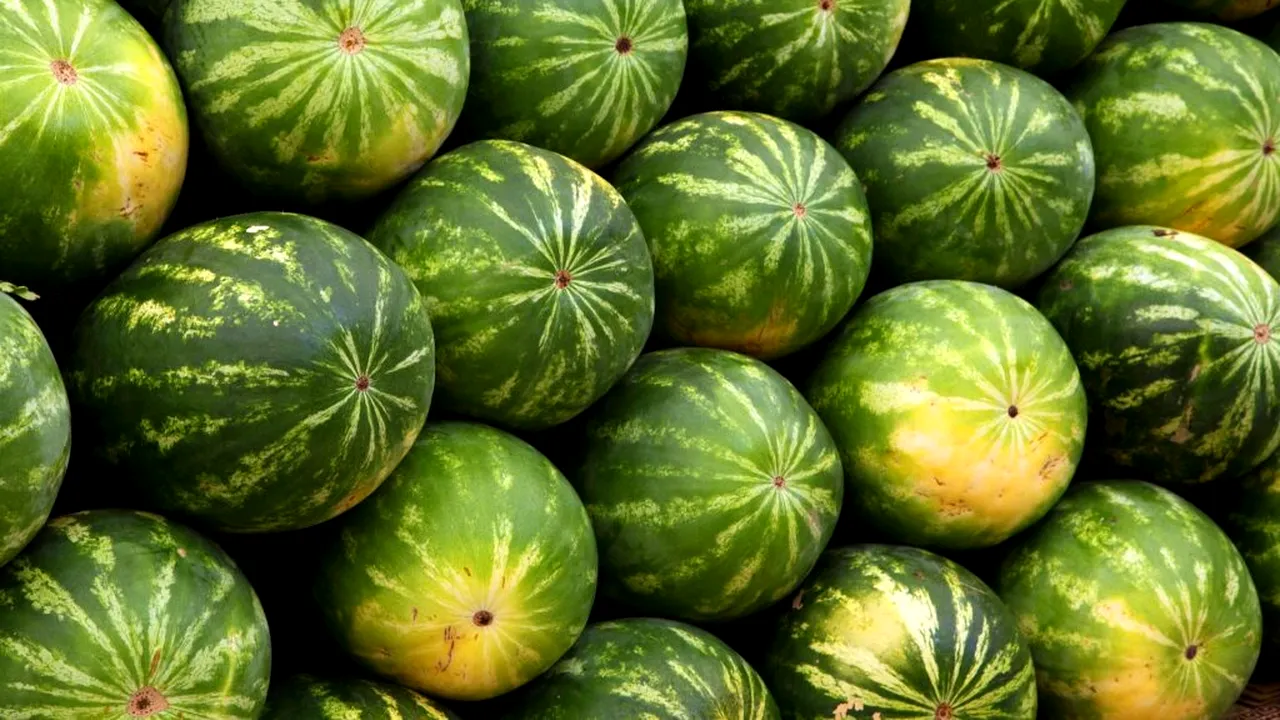 Controversă în California provocată de un magazin care vinde fructe de lux. Cât costă un pepene și o căpșună