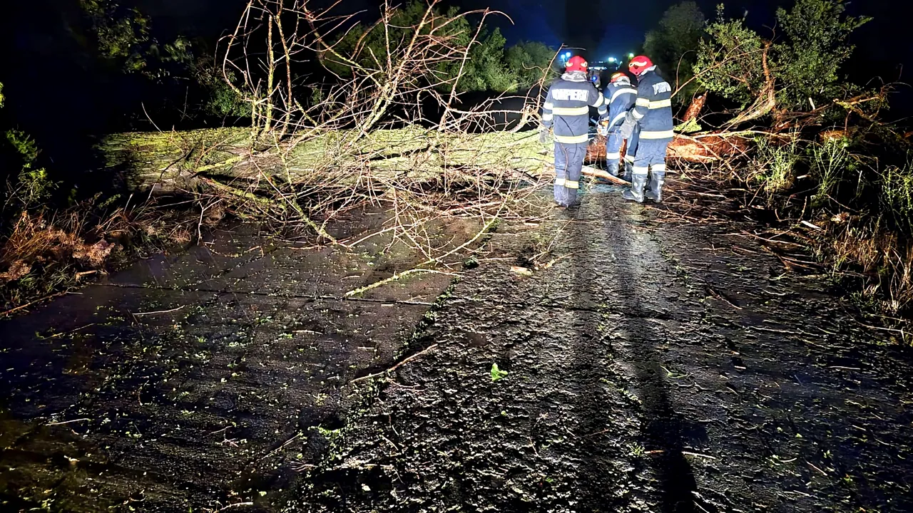 Giurgiu. O maşină a intrat într-un copac căzut pe şosea din cauza furtunii
