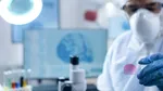 Nu chimioterapie, ci bacterii. Cercetătorii au găsit o metodă să atace cancerul din interior fără să afecteze restul corpului