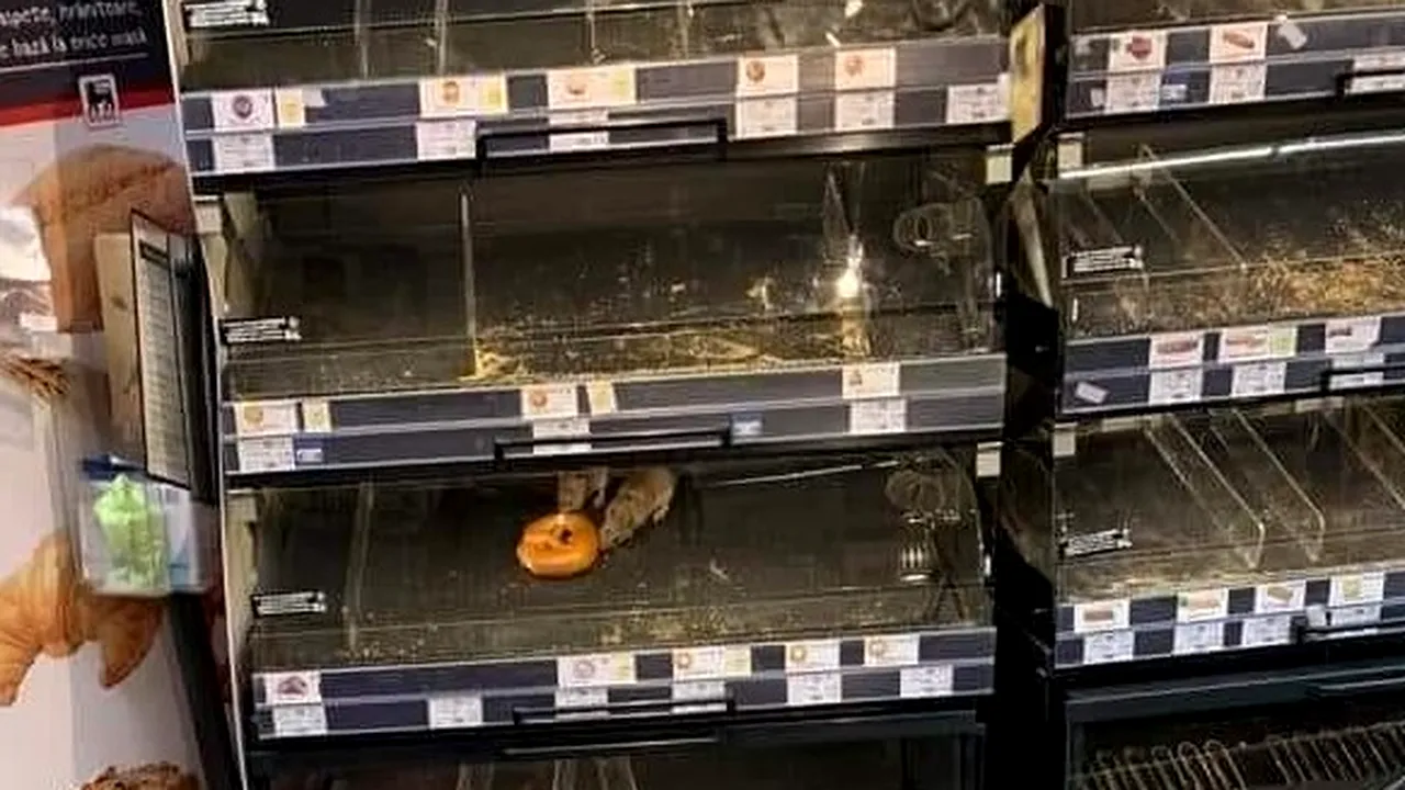 FOTO Şobolani ”savurând” alimente, într-un supermarket din Capitală. ANSVSA a luat măsuri