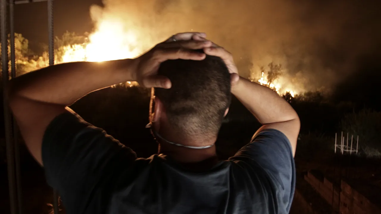 Cel puţin 65 de morţi în urma incendiilor de vegetaţie din Algeria 