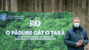 COMENTARIU Lelia Munteanu: Iohannis - mai preocupat de încălzirea globală decât de pârjolul din spitale 