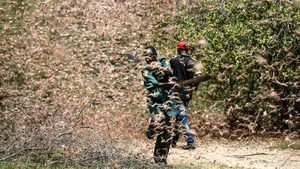 Sub asediul lăcustelor. Ţara invadată de milioane de insecte care au distrus culturile. FOTO