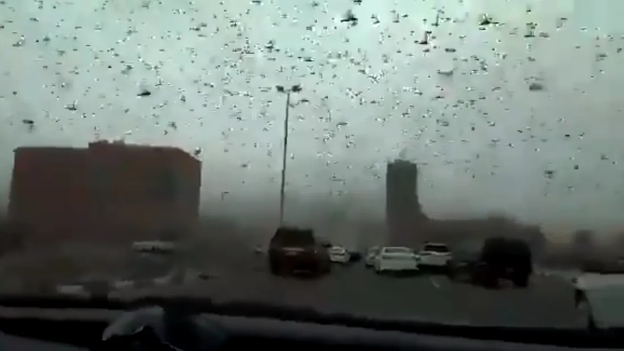 Imagini apocaliptice în Bahrain. Ziua s-a transformat în noapte din cauza roiurilor de lăcuste