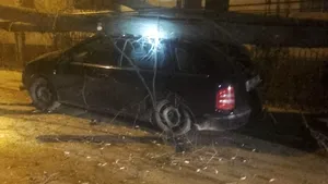 Copac prăbuşit peste trei maşini parcate, în Botoşani. FOTO