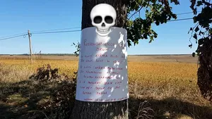 Protest inedit: Şoferii din Botoşani, exasperaţi de starea proastă a drumurilor, au trecut la blesteme scrise pe copaci