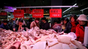 Pesta porcină africană face ravagii în Asia. Care sunt cele mai afectate ţări