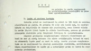 Lipsurile alimentare în comunism. Notă secretă a Securității din 1989: Nu se găsesc conserve de carne, compoturi. Ouăle puse la vânzare, doar 30% din necesarul populației