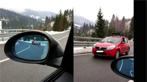 Marcel Vela, reacţie în cazul câinelui împuşcat la Maramureş: Se va face anchetă administrativă la IPJ