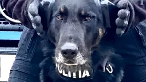 MAI transmite un mesaj pentru români, cu ocazia sărbătorilor 