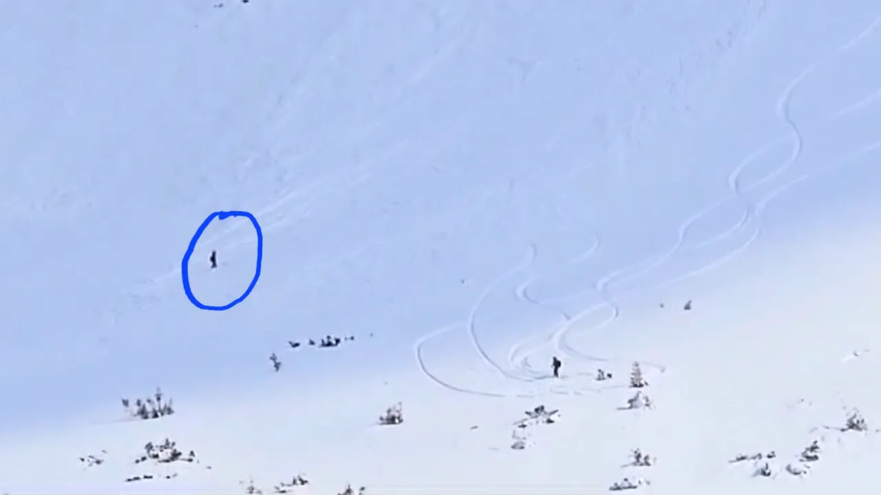 O schioare a fost prinsă de avalanşă, acoperită de zăpadă şi tărâtă până la poalele muntelui