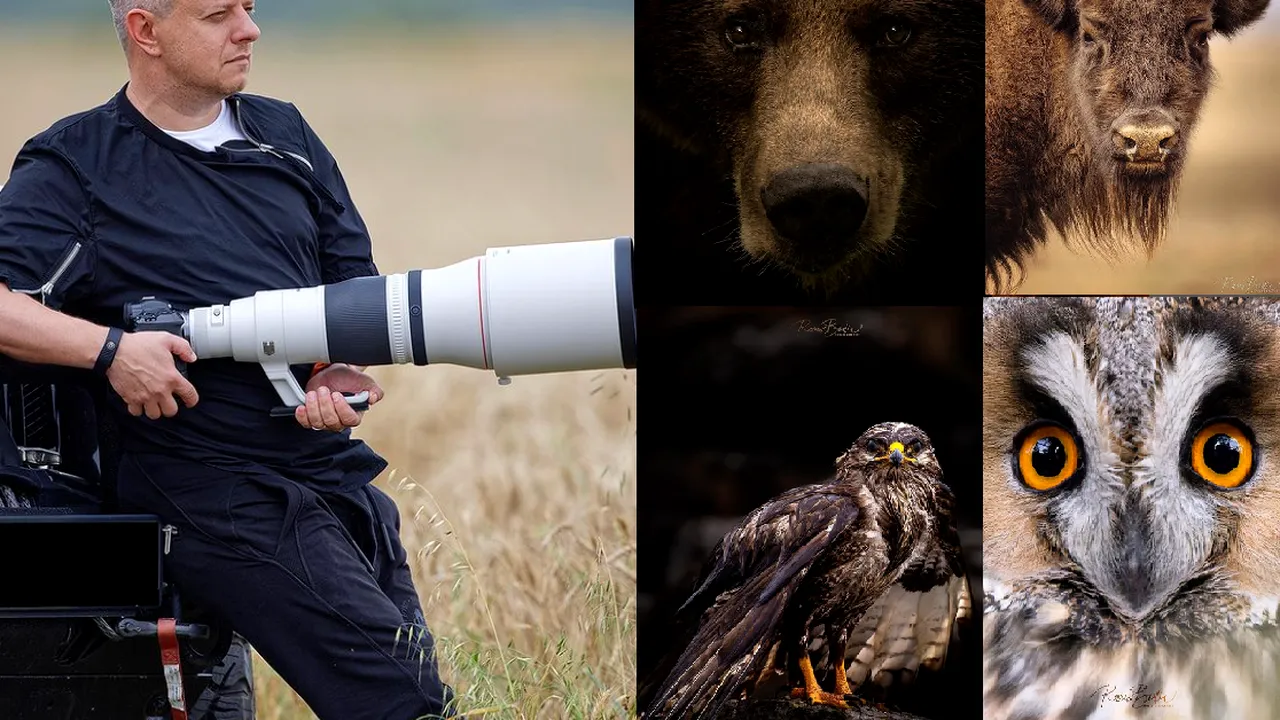 Interviu cu Rareş Beşliu, un fotograf român care explorează viaţa sălbatică 