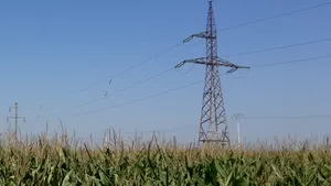 Liniile electrice care traversează terenurile ar putea fi mutate, la cererea proprietarilor