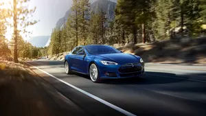 Locul de unde izvorăşte Dunărea stă pe o 