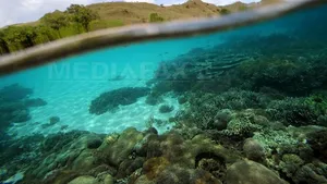 Află unde îşi petrec luna de miere Prinţul William şi Kate Middleton