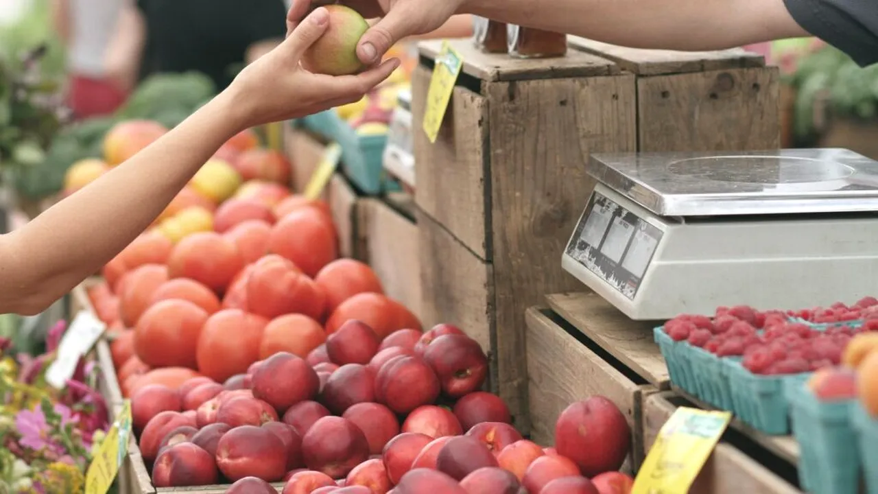 O industrie invizibilă susține alimentația globală. Ce arată un studiu realizat în 64 de țări