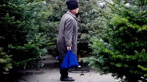 PREŢUL BRADULUI DE CRĂCIUN: Oferta în pieţele bucureştene este variată, dar comercianţii se plâng că este cea mai slabă vânzare