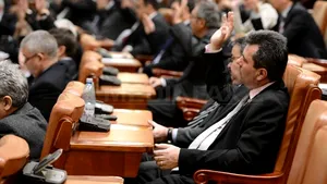 Podgorean, Davidoiu şi Tudor, aviz favorabil în comisii pentru posturile de ambasador 