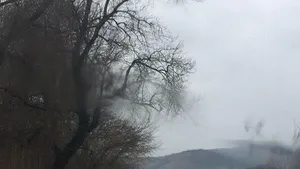 FOTO Un drum judeţen din Arad şi zeci de hectare de terenuri au fost inundate de Crişul Alb