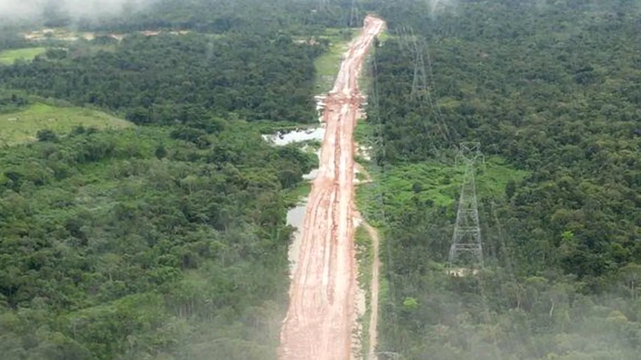 Pădurea amazoniană, tăiată pentru construcţia un drum pentru summitul COP30