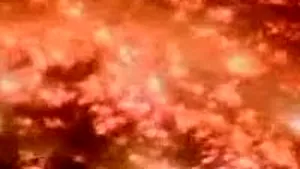 Un mort şi stare de urgenţă în California, din cauza incendiilor