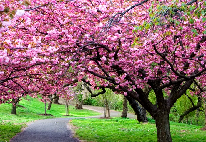 METEO Prognoza pentru 4 săptămâni: Cum va fi vremea în minivacanțele de Paști și 1 Mai