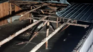 Vremea a luat-o razna şi în România. Furtunile şi vântul au doborât acoperişuri şi copaci la Cluj şi în Craiova