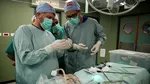 „Putem muri în orice moment”: medicii din Gaza descriu condițiile de coșmar din spitalul al Shifa