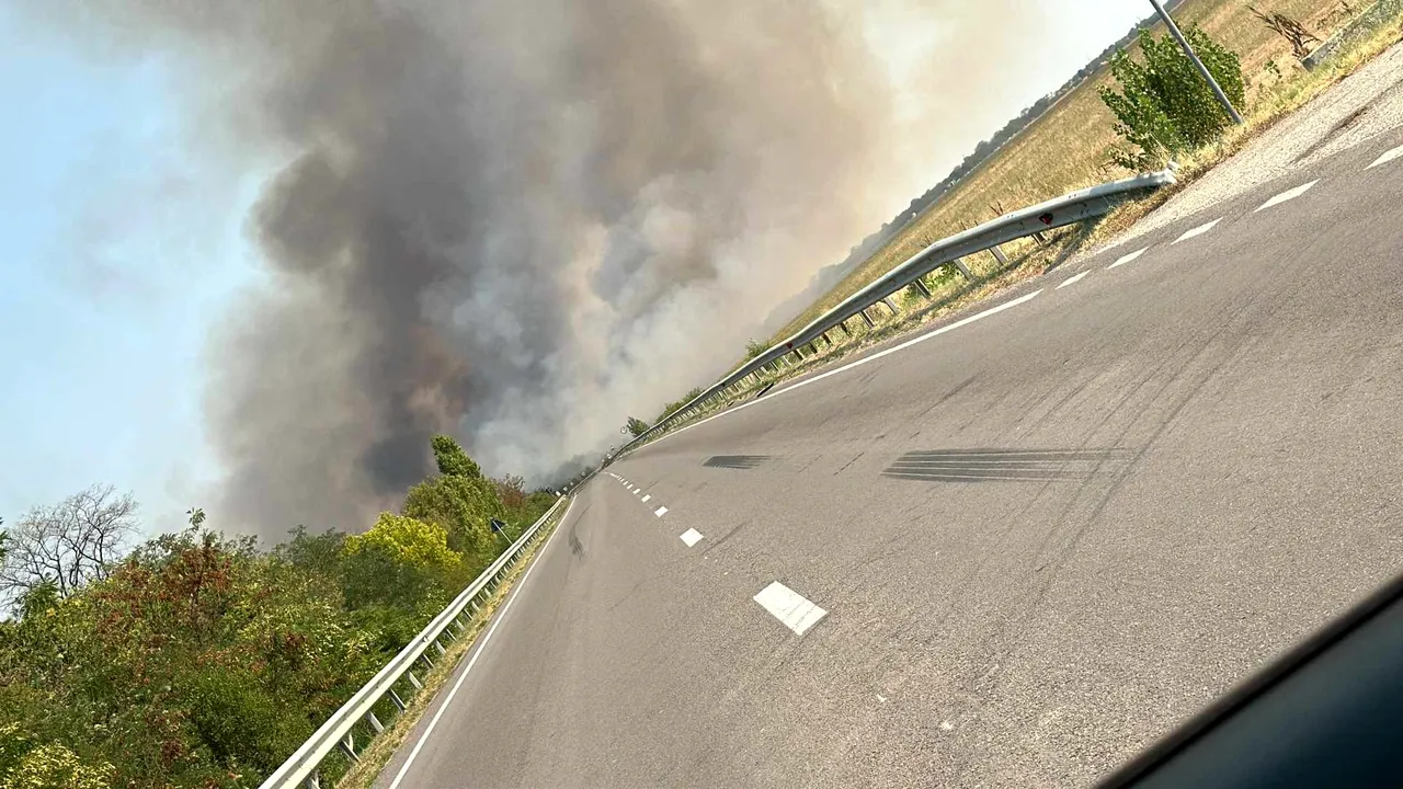 Trafic blocat pe şoseaua dintre Craiova şi Caracal din cauza unui incendiu de vegetaţie