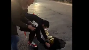 Flori plantate în gropile de pe un drum judeţean. Filmarea a ajuns virală pe Facebook