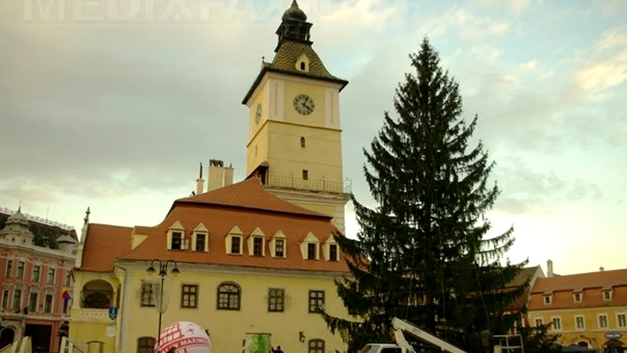 Brad de 25 de metri înălţime, în Piaţa Sfatului din Braşov