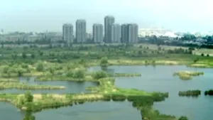 Trei programe cu granturi SEE de 30 milioane de euro, lansate joi de Ministerul Mediului