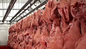 ANSVSA: 14 tone de carne retrase din măcelării şi carmangerii şi amenzi de 91.920 lei în semestrul I