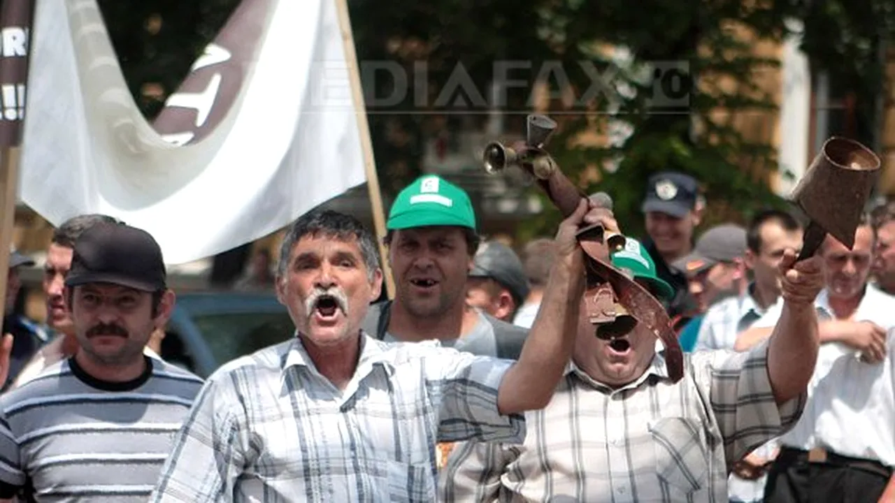 Proteste ale agricultorilor şi fermierilor în faţa Prefecturilor din ţară