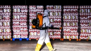 Un depozit a devenit FOCAR DE INFECŢIE. 64 de cazuri pozitive de COVID-19