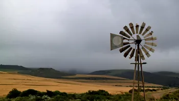 METEO Vânt puternic în mai multe zone din țară. ANM a emis cod galben pentru rafale de 70 km/h