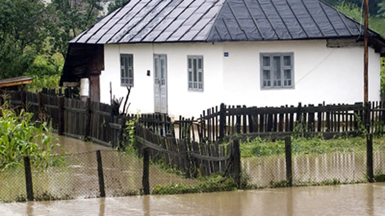 Patru judeţe ale ţării, afectate de ploi şi vânt