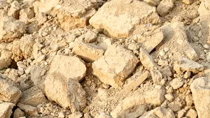 Când și cum a apărut viața complexă pe Pământ. Fosilele care au rezolvat un mister vechi de decenii