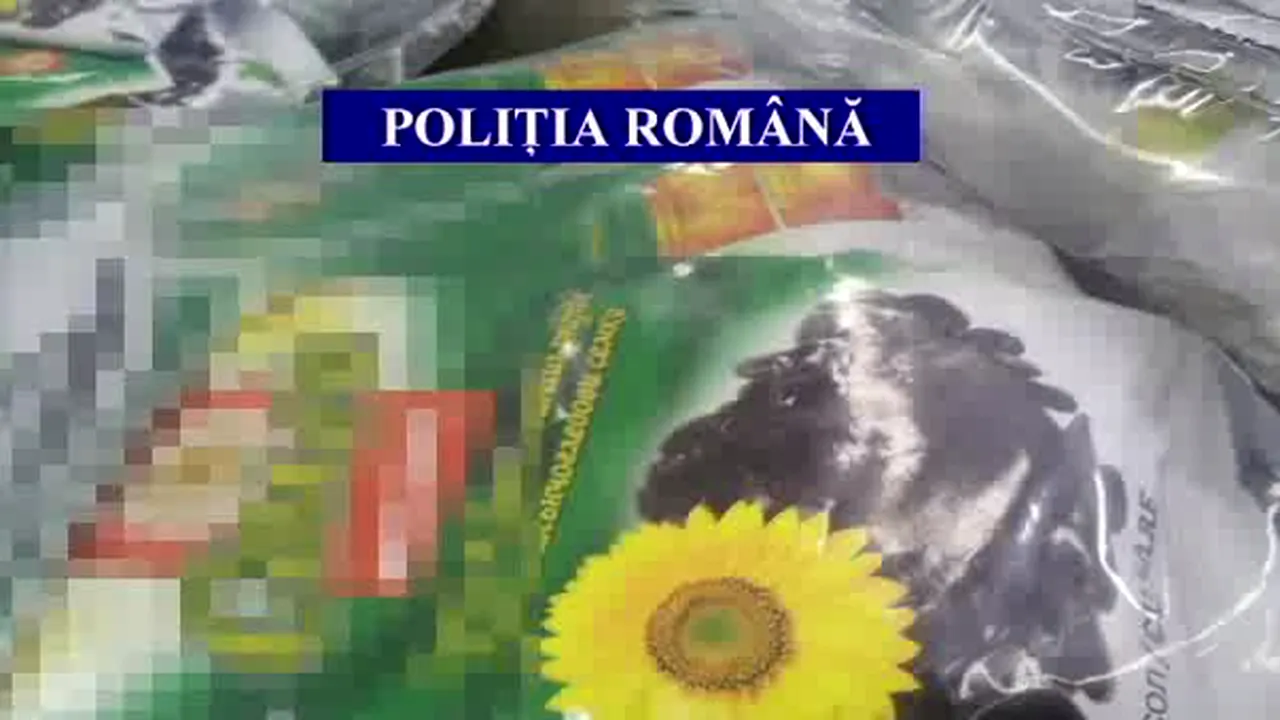 Seminţe de floarea soarelui contrafăcute. Poliţia face verificări la societăţi comerciale pentru stabilirea originii reale a mărfurilor - VIDEO