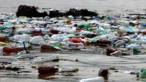 Oltul, blocat la ieşirea din Miercurea Ciuc de un baraj de PET-uri şi gunoi