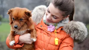 O țară din Europa recunoaște animalele bolnave ca motiv valid pentru concediu plătit de urgență