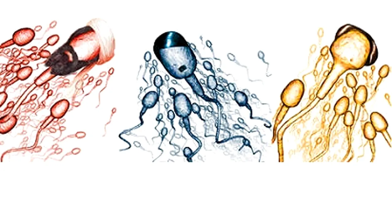 O reclamă în care Mao Zedong este înfăţişat ca spermatozoid generează indignare în China