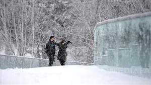 9000 de case din judeţele Moldovei nu au energie electrică din cauza ninsorii şi a viscolului / Două comune din Bacău nu au în continuare energie electrică