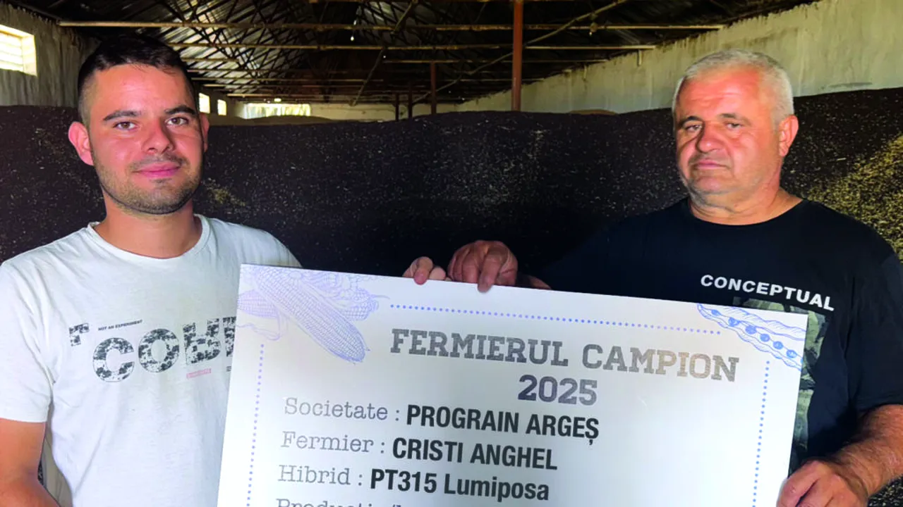 5 tone/ha cu PT315: Fermierii din Argeș și Prahova, campioni la rapiță