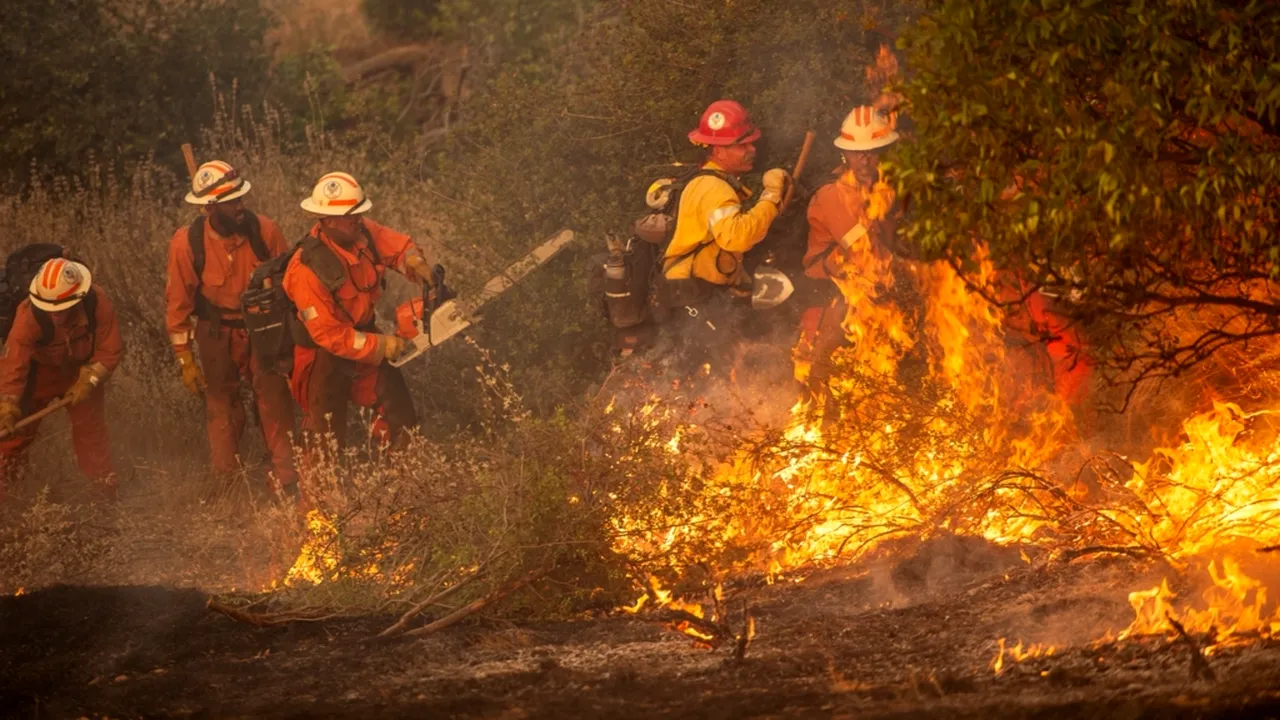 Incendiu de amploare în California: Românii din zonă, sfătuiți să respecte ordinele de evacuare